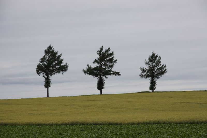 c0148781_2247994.jpg