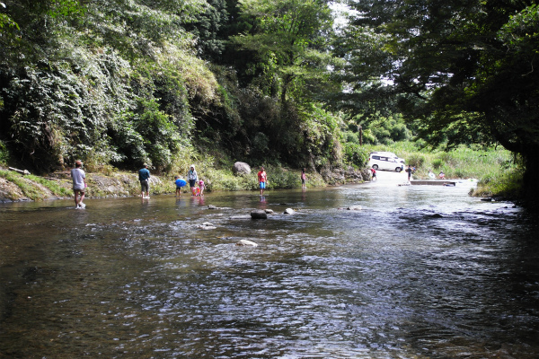 d0129886_124473.jpg