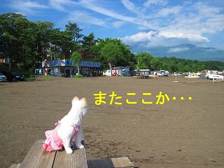 e0121589_043559.jpg
