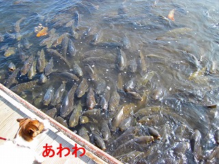 e0121589_0461956.jpg