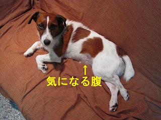e0121589_1265891.jpg