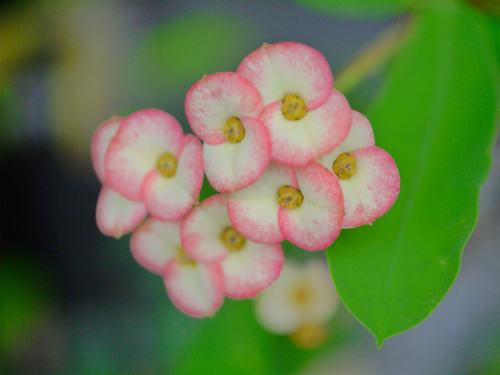 a0164102_13343441.jpg