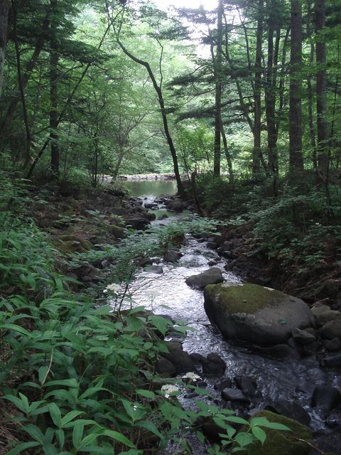 b0148106_859513.jpg