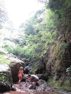 f0144707_18343483.jpg