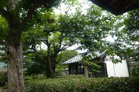 f0221708_1391578.jpg