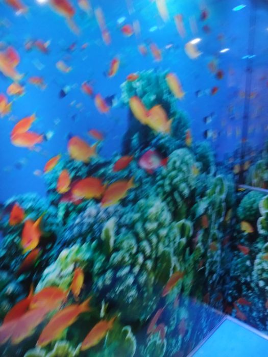 c0167813_23201211.jpg