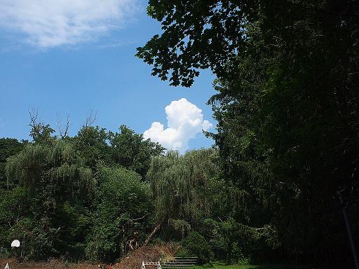 e0147716_10381361.jpg