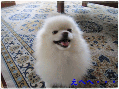 b0167519_14372553.gif