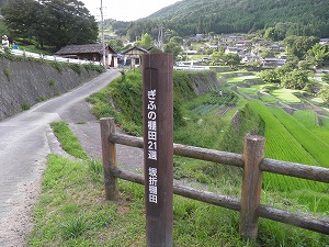 a0111225_1823067.jpg
