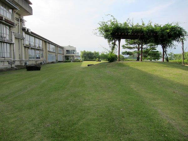 f0147025_19374518.jpg