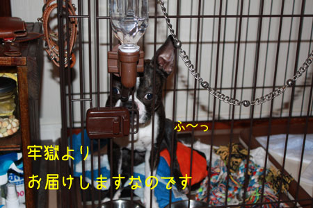 a0190132_2304624.jpg