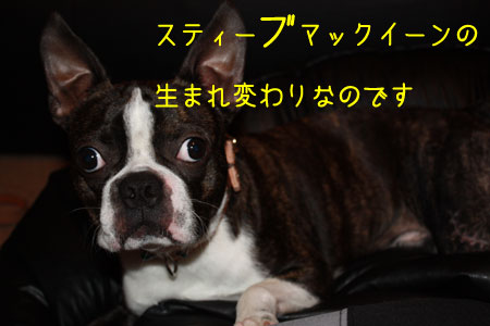 a0190132_2314924.jpg