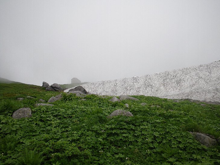 f0118332_065192.jpg