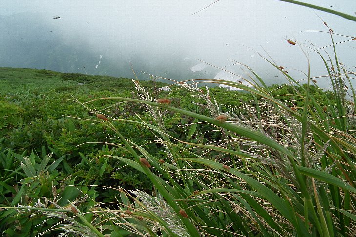 f0118332_8414666.jpg