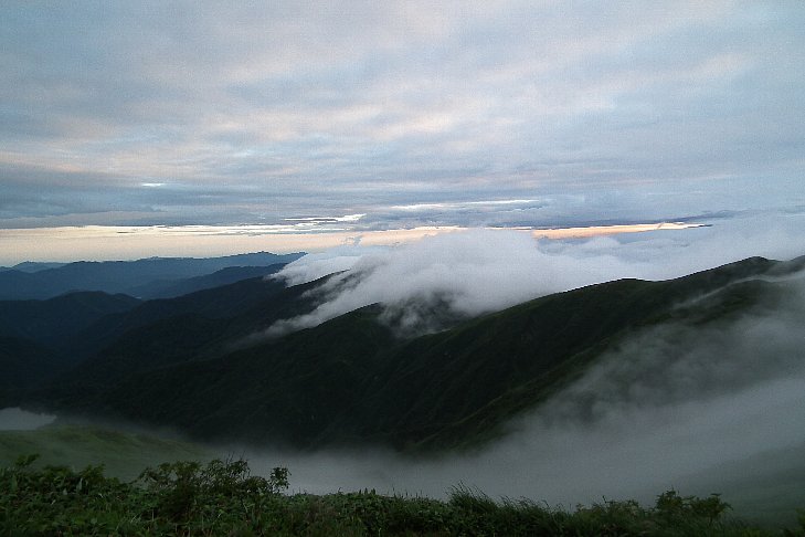 f0118332_941366.jpg