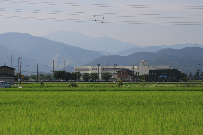 b0177233_7433777.jpg