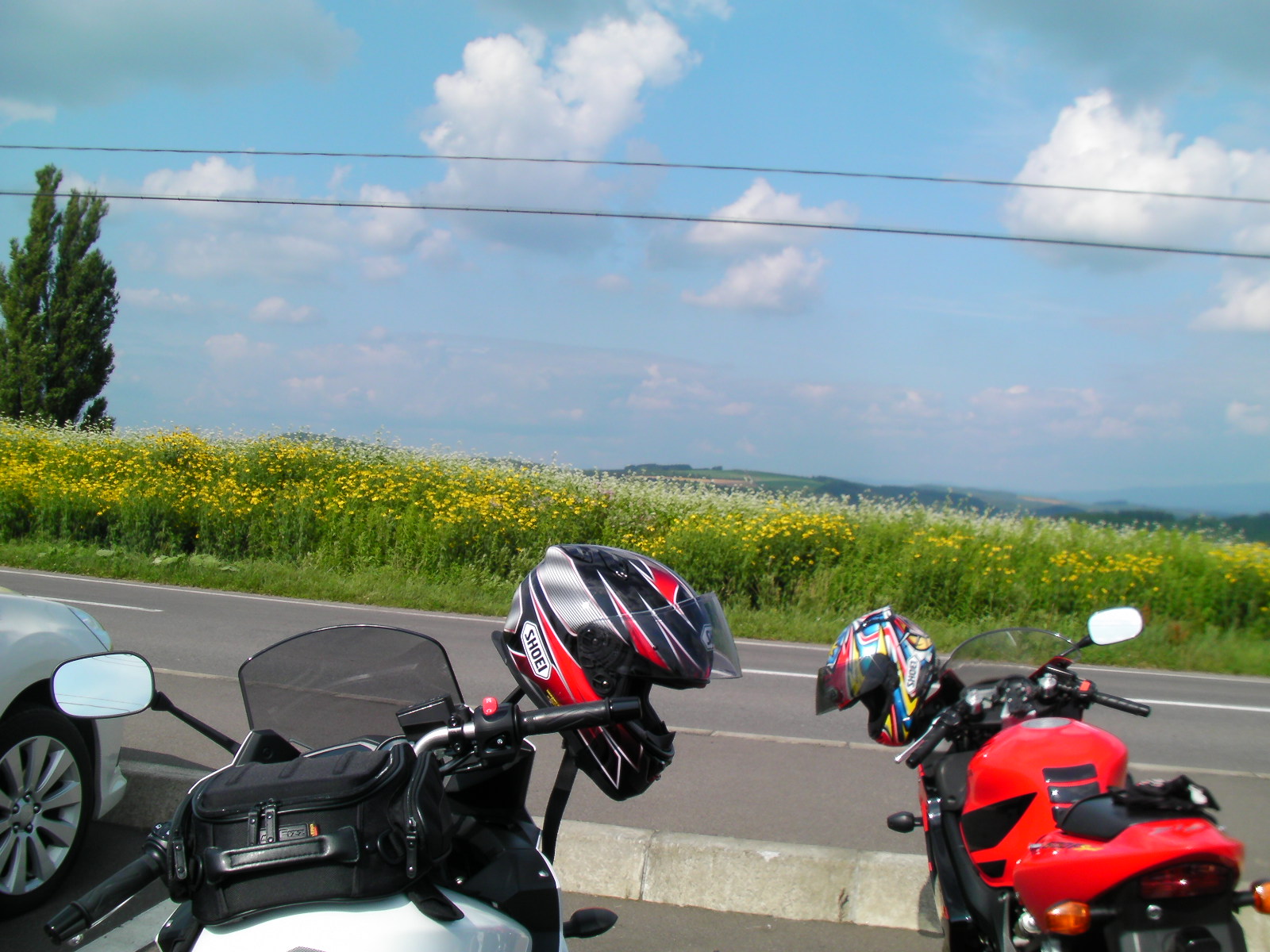 d0111435_17112392.jpg