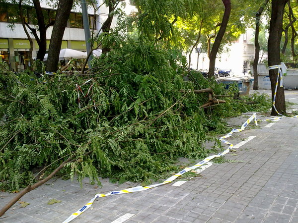e0145739_3525399.jpg