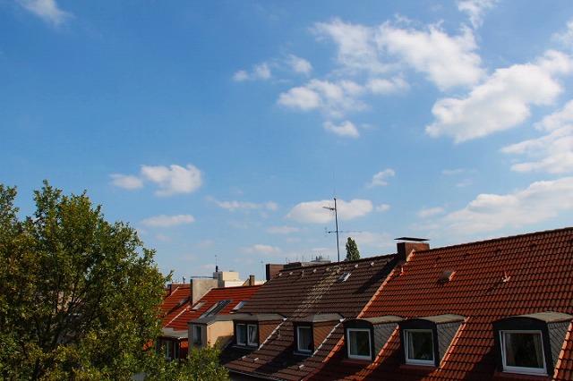 c0153740_2451678.jpg