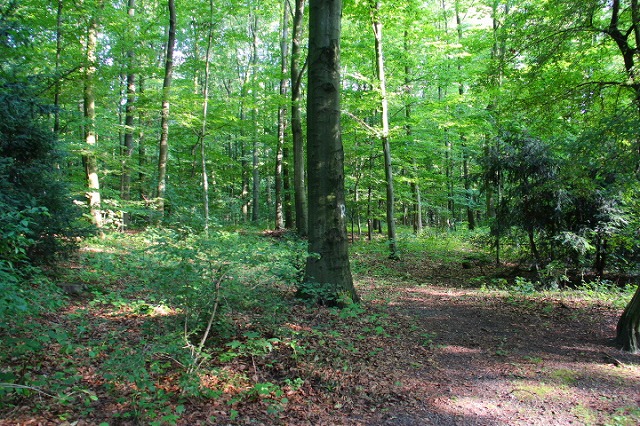 c0153740_421356.jpg