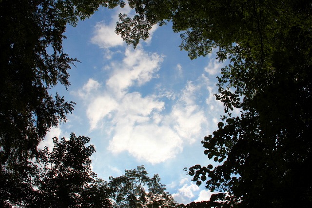 c0153740_425153.jpg