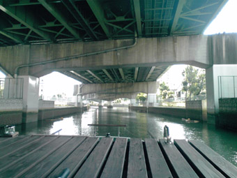 a0137142_1594981.jpg