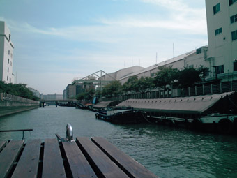 a0137142_211580.jpg