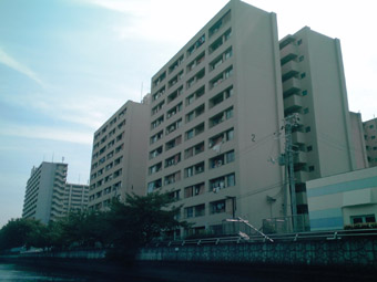 a0137142_222323.jpg