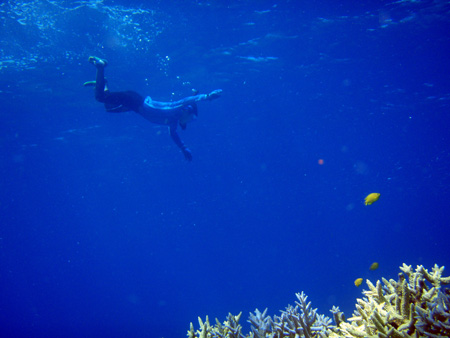 f0014842_1595874.jpg