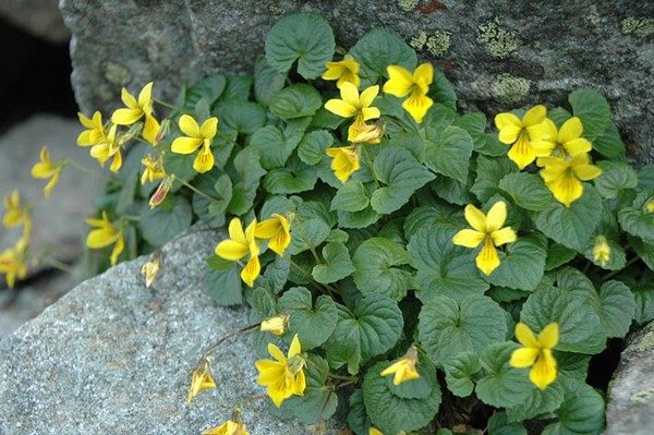f0214649_4542940.jpg