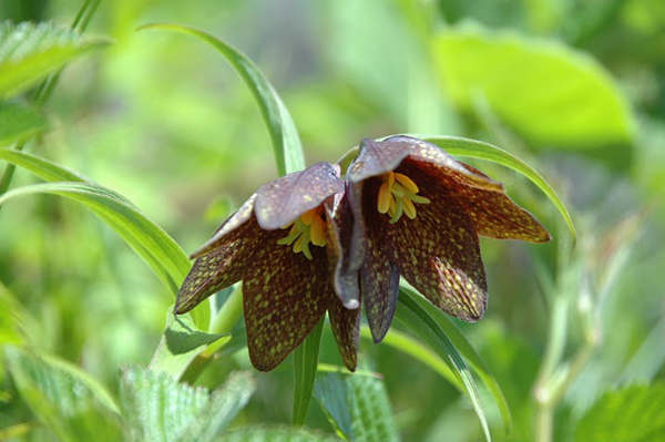 f0214649_4554234.jpg