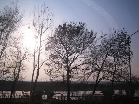 e0084055_21461654.jpg