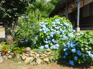 e0004756_2124227.jpg