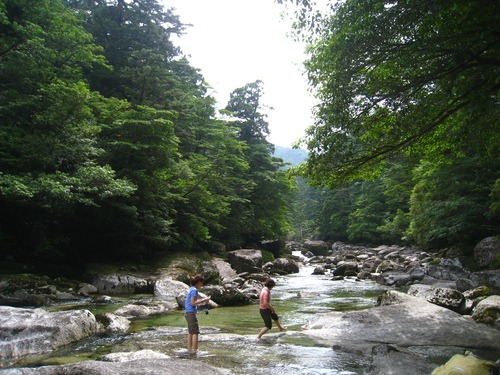 b0160957_7361947.jpg