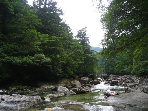 b0160957_7391077.jpg