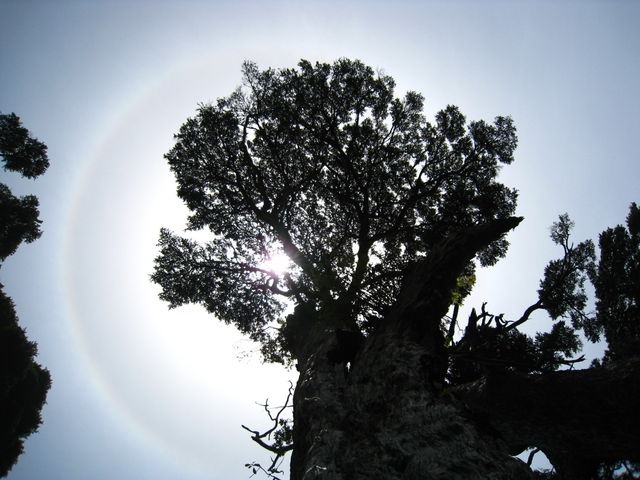 b0160957_851834.jpg