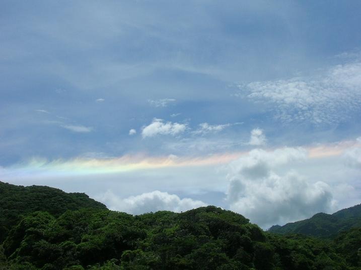 b0160957_863348.jpg