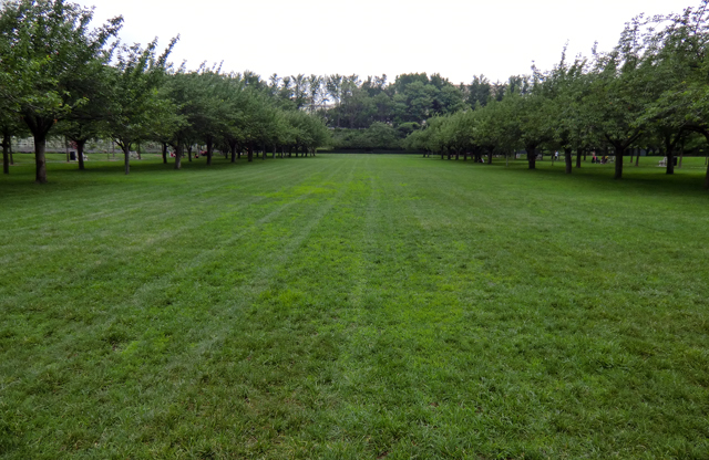 f0176458_1243299.jpg