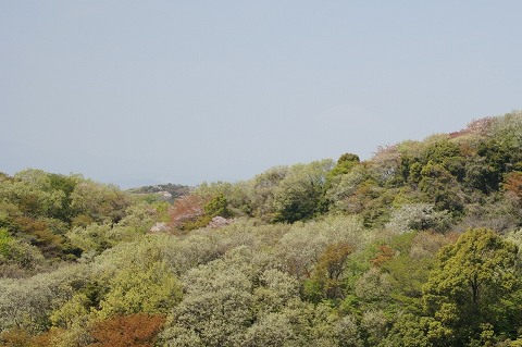 e0045768_2281226.jpg