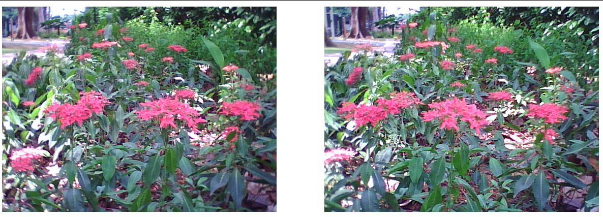 a0002177_1641453.jpg