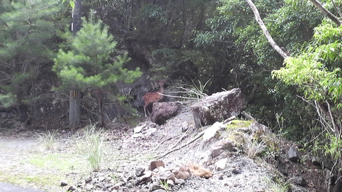 b0205079_12252536.jpg