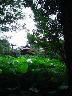 f0115787_5211379.jpg