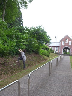 a0137192_10545938.jpg