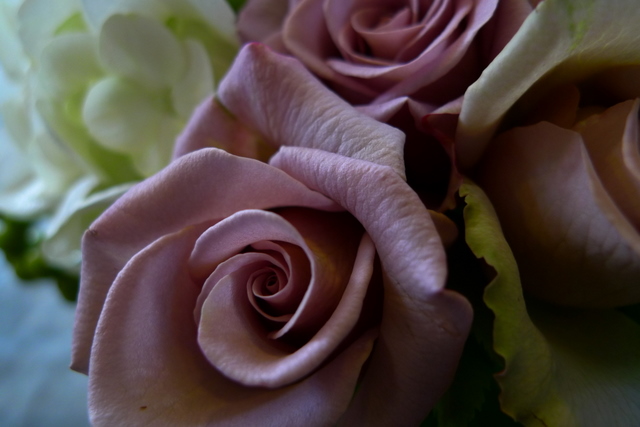 b0171193_2324777.jpg