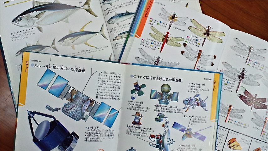 a0199297_1427321.jpg