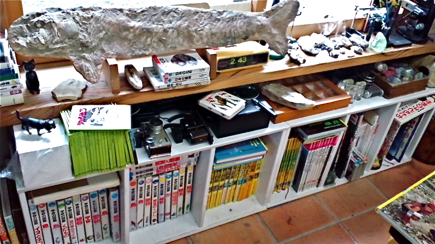 a0199297_14473858.jpg