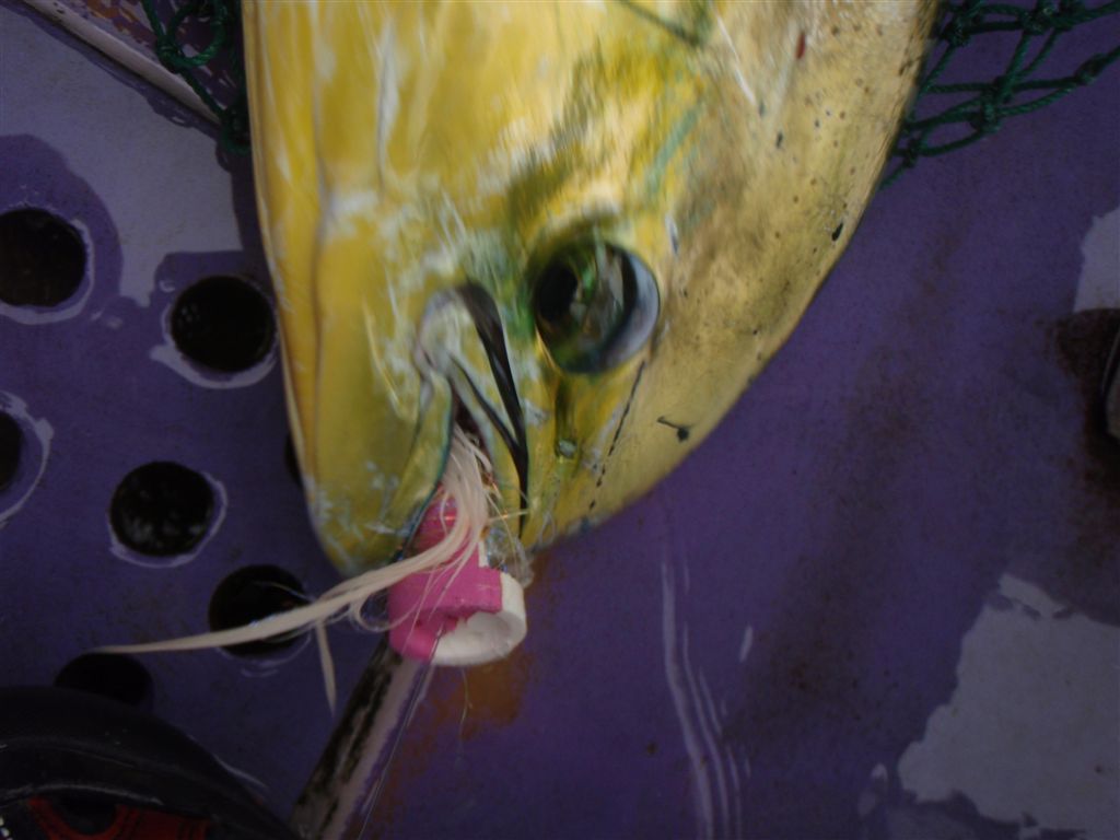 c0177497_1935308.jpg