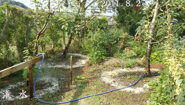 d0122497_1402758.jpg