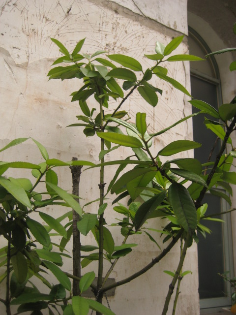a0193698_22451540.jpg