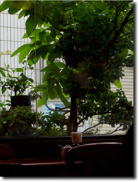 b0160498_6534412.jpg